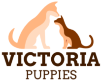 Victoria Puppies